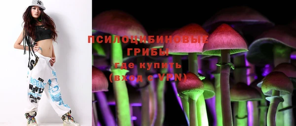 наркотики Новозыбков