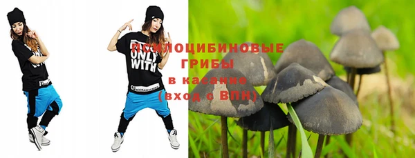 хмурый Новокубанск
